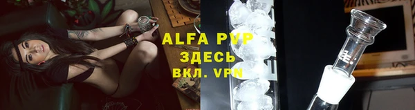 экстази Бородино