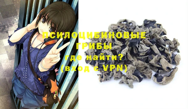 экстази Бородино