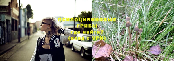 экстази Бородино