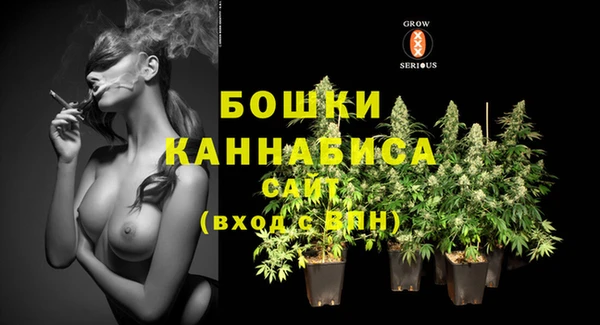 2c-b Верея