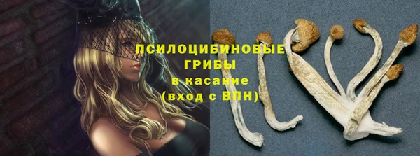 2c-b Верея