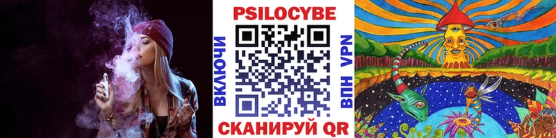 Псилоцибиновые грибы GOLDEN TEACHER  где можно купить   Северо-Курильск 